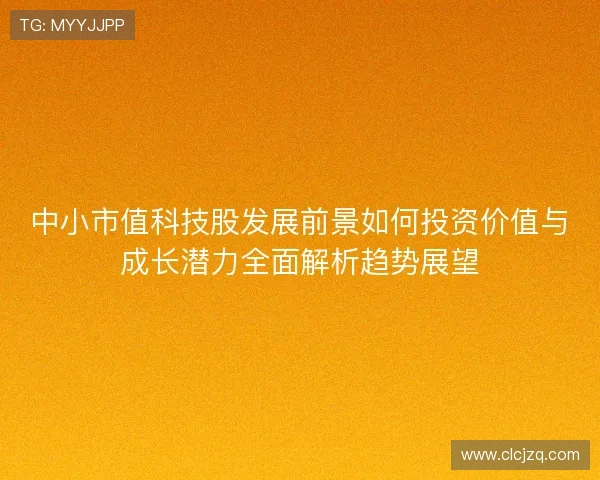 中小市值科技股发展前景如何投资价值与成长潜力全面解析趋势展望 中小市值科技股发展前景如何投资价值与成长潜力全面解析趋势展望